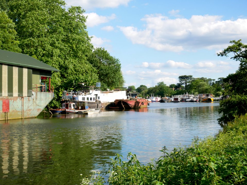 River Thames, Isleworth, 2018-06 I