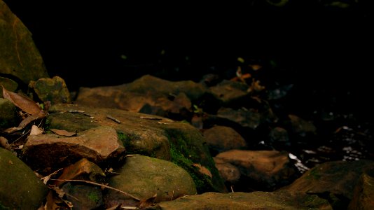 River Stones (190810837)