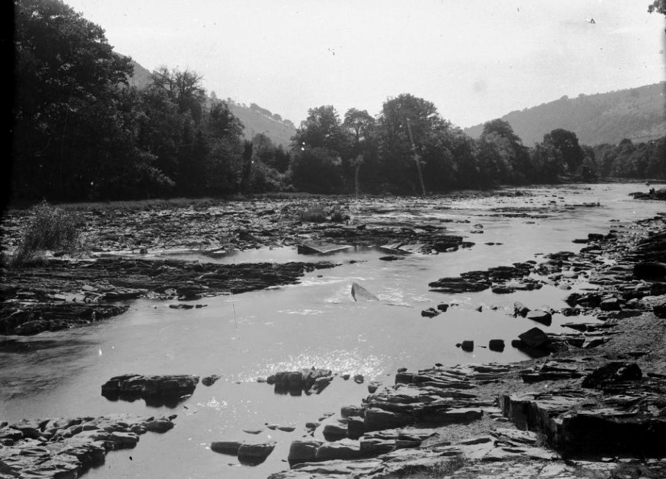 River (1294593)