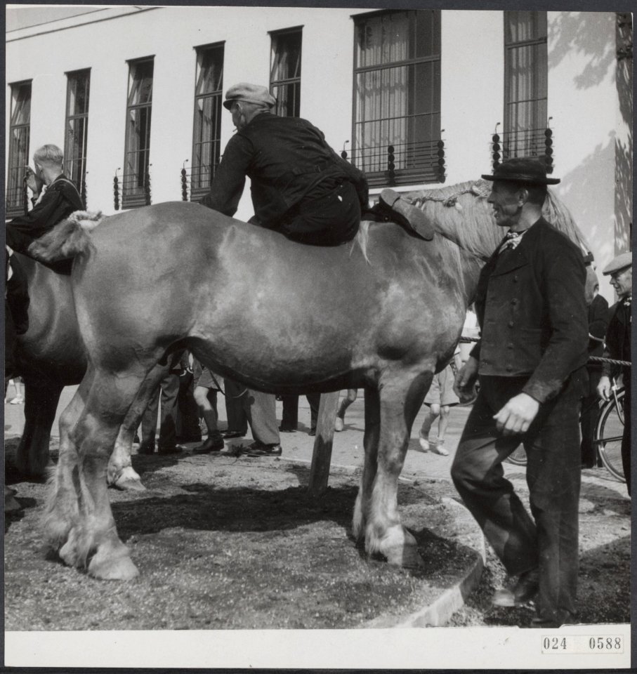 Ringsteken Middelburgpaard en berijder, Bestanddeelnr 024-0588