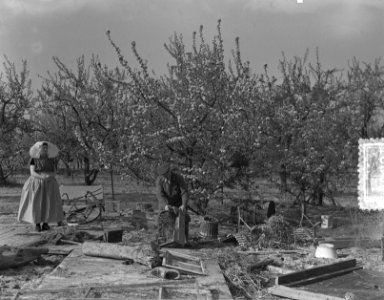 Rilland Bath terugkeer bewoners (boerin), Bestanddeelnr 905-6801
