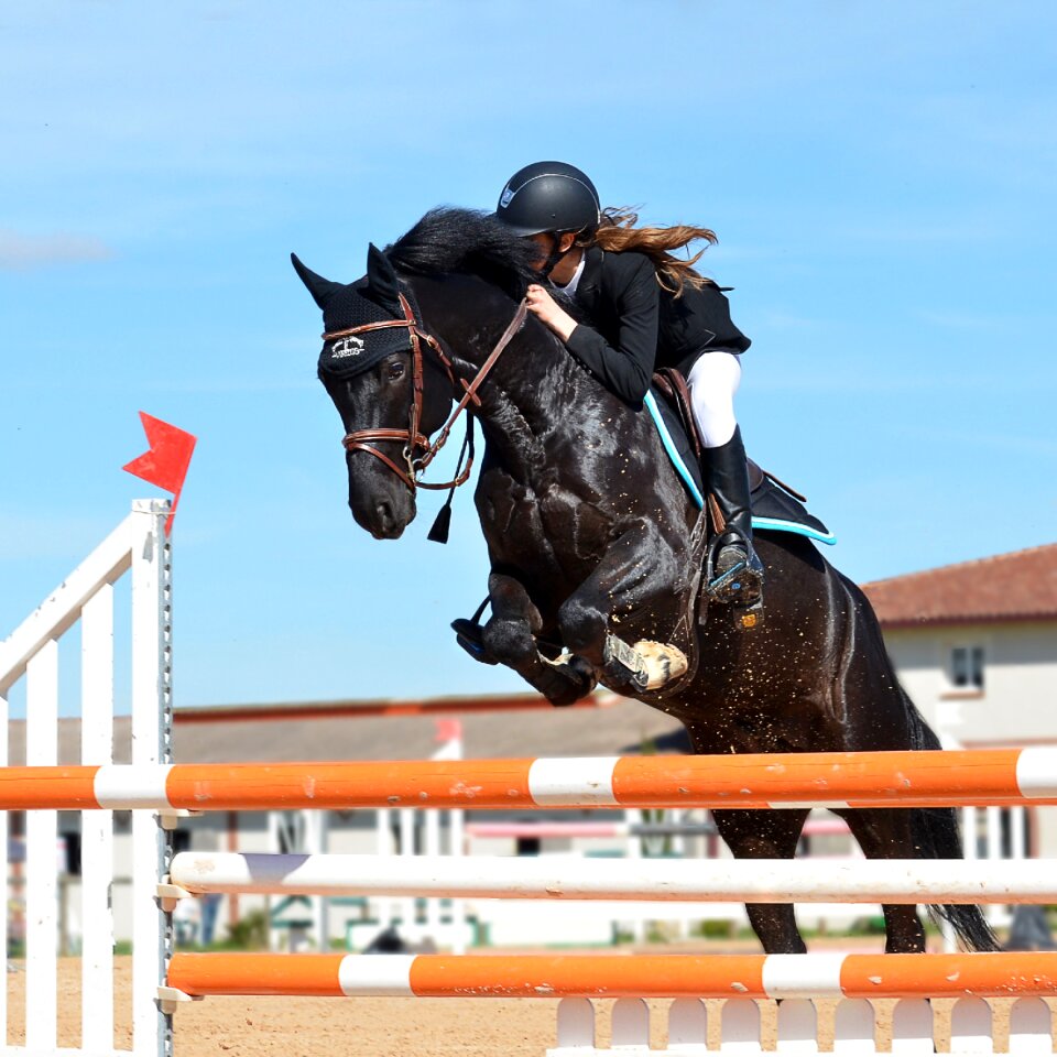 Horse jumping obstacle horse show