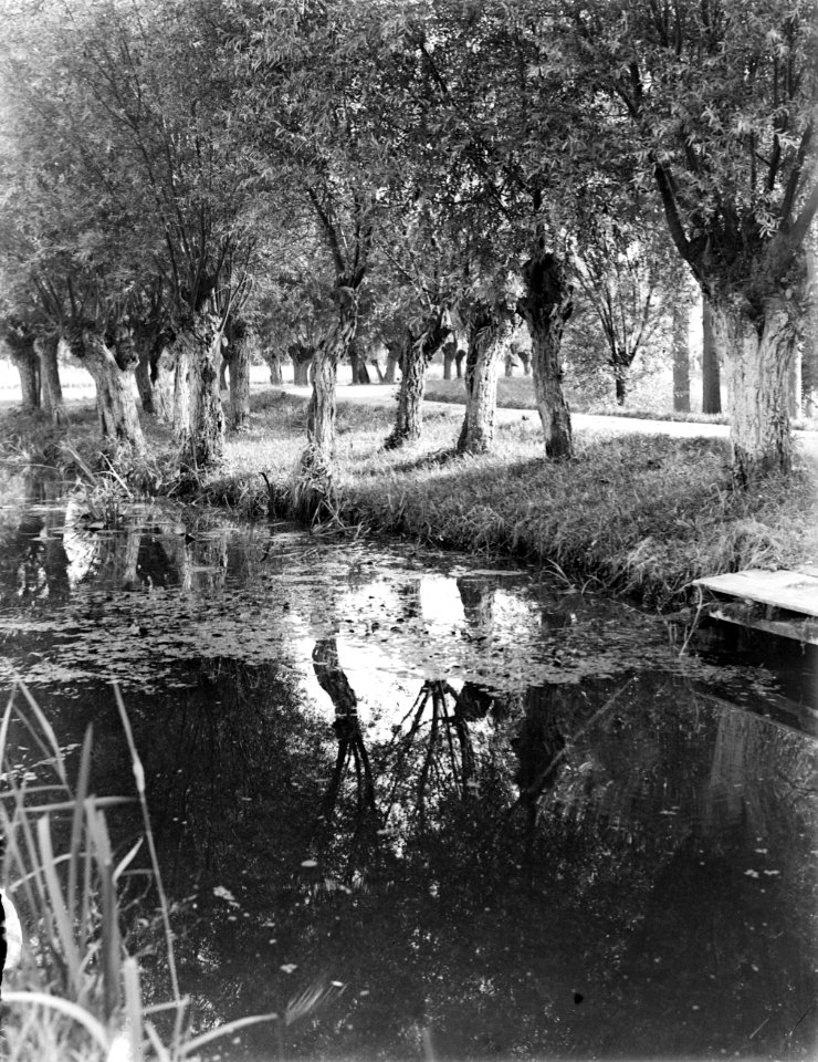 Rivier met knotwilgen, Bestanddeelnr 252-0872