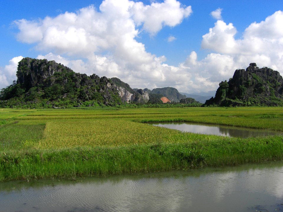 Rizière, baie d'Halong Intérieure 1