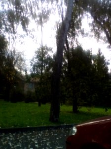 RivaltaDonPasquinoBorghi1