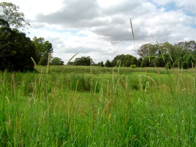 Riverdale Park Meadowbrook 4 photo