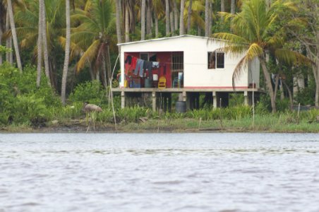 Rio limon venezuela30