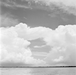Riviergezicht in Suriname, Bestanddeelnr 252-2640