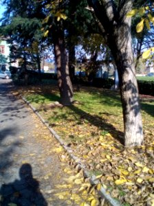 Rivalta (Reggio Emilia)18