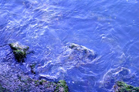 Ripples - Sausalito, CA - DSC03321