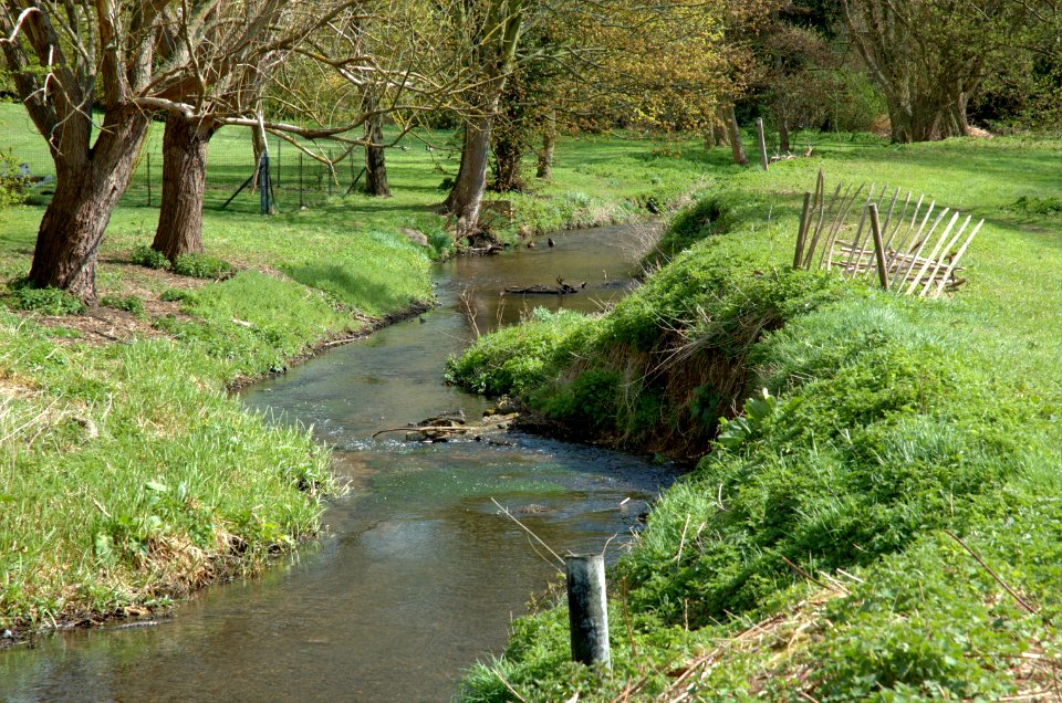 River Ver in St Albans, Hertfordshire 009
