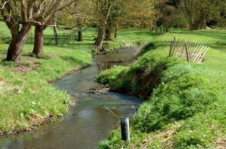 River Ver in St Albans, Hertfordshire 009
