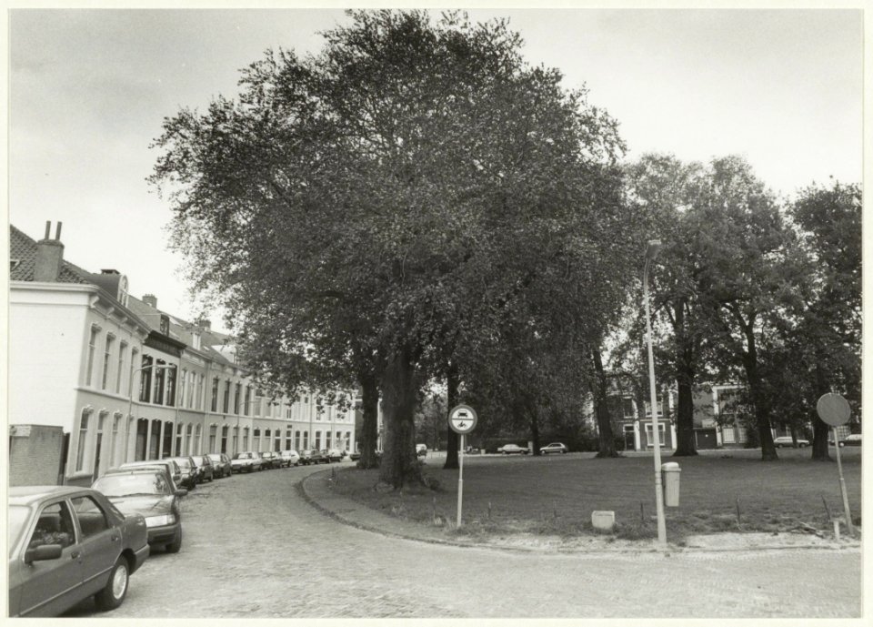 Ripperdapark, noordzijde, ziende naar het oosten. NL-HlmNHA 54031943