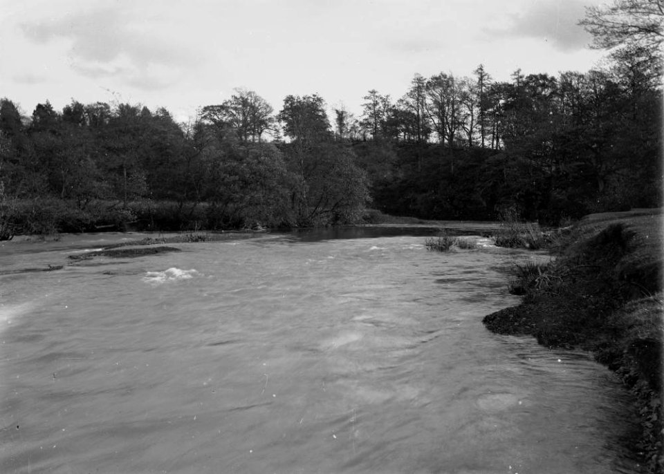 River, Radnorshire (1294801)