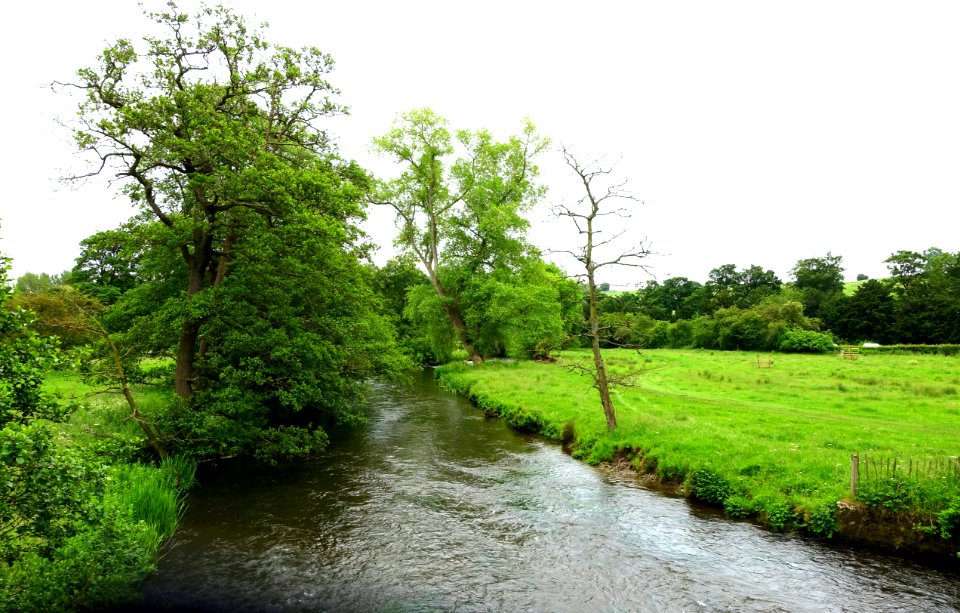 River Wye at Haddon Hall - Bakewell, Derbyshire, England - DSC02431