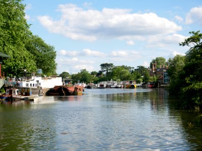 River Thames, Isleworth, 2018-06 II photo