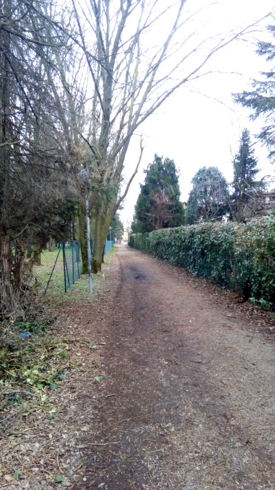 Rivalta(R.Emilia)20