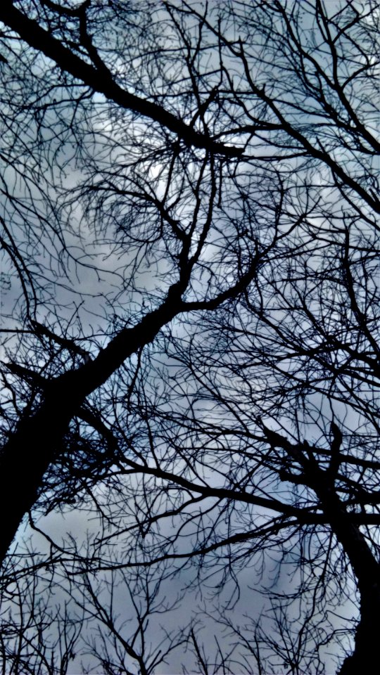 RiValta(RE) 23