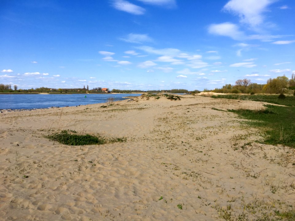 Rivierduin langs de Waal