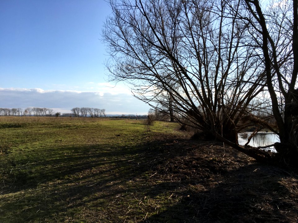 River forelands of Haalderen
