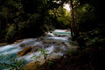 River (243456805)