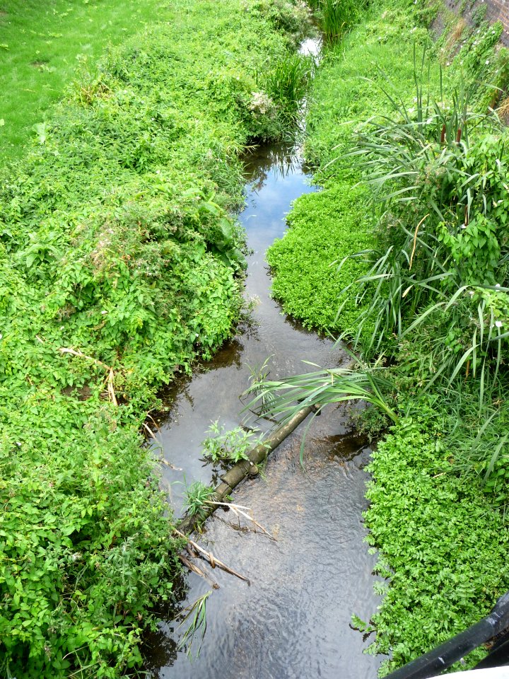 River Welland in Market Harborough 04 photo