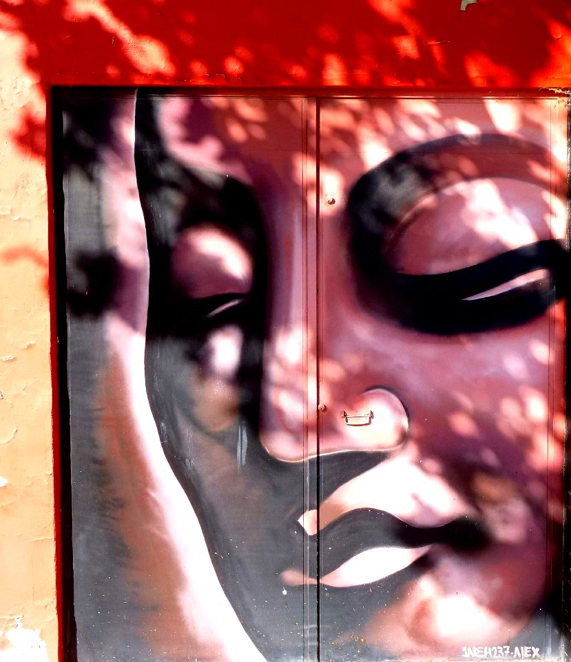 Rivas-Vaciamadrid, graffiti 1
