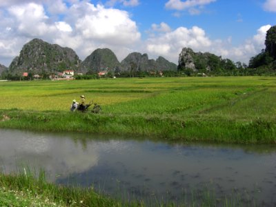 Rizière, baie d'Halong Intérieure 2