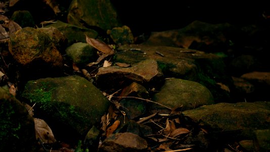 River Stones (190810735)