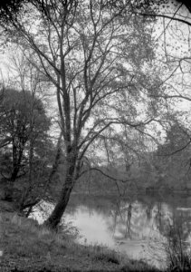 River bank (1293439)