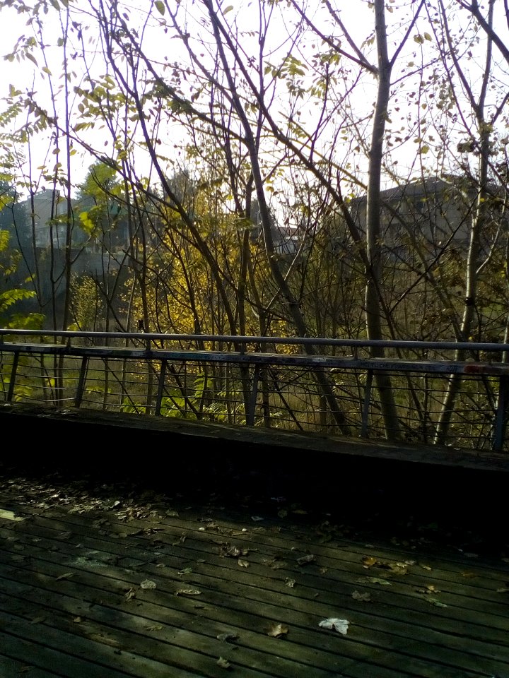 Rivalta (RE)5