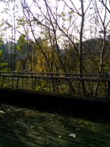 Rivalta (RE)5