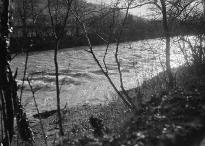 River Wye (1294997)