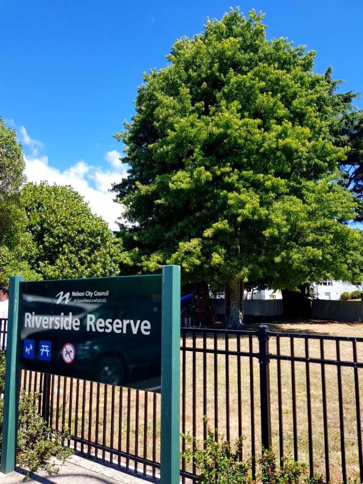 Riverside Reserve, Nelson