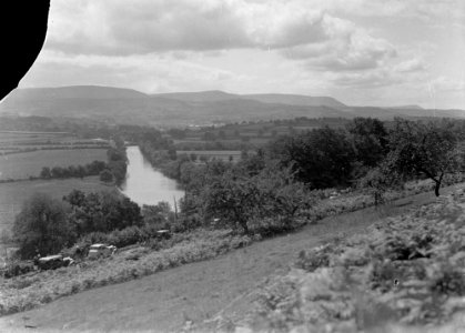 River Wye, Glasbury (1293847)