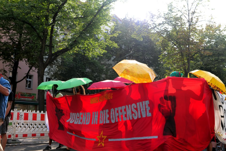Rise up 4 the revolution demonstration Berlin 2020-07-19 38