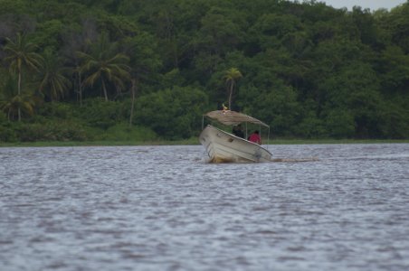 Rio limon venezuela25