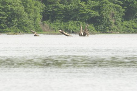 Rio limon venezuela38