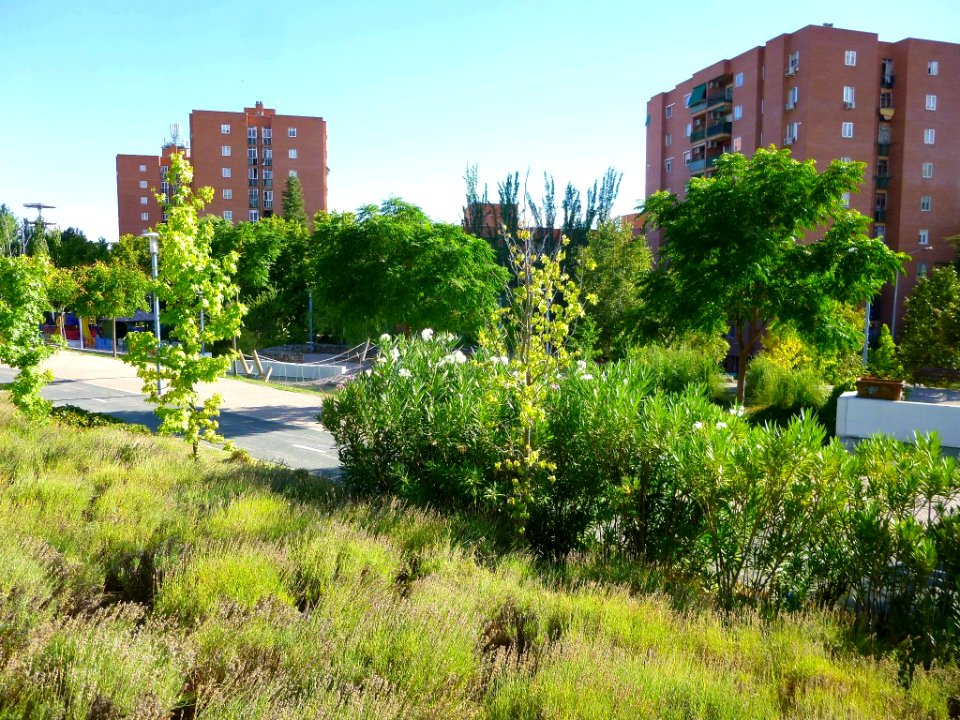 Rivas-Vaciamadrid 01