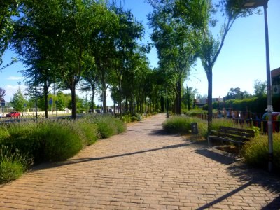 Rivas-Vaciamadrid 02