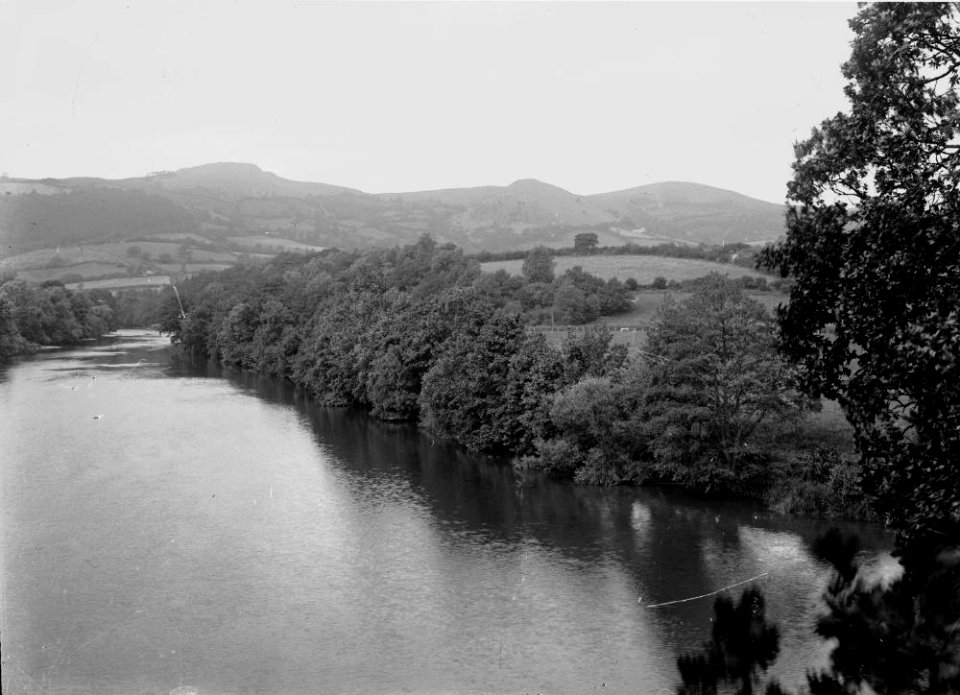 River (1294151)