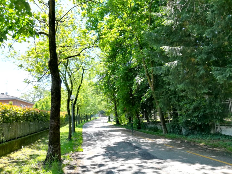 Rivalta (Reggio Emilia) - 5 may 2017 06