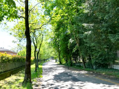 Rivalta (Reggio Emilia) - 5 may 2017 06