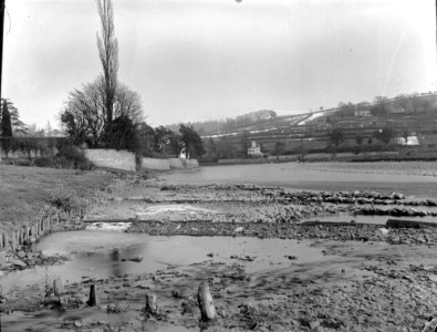 River (1294260)
