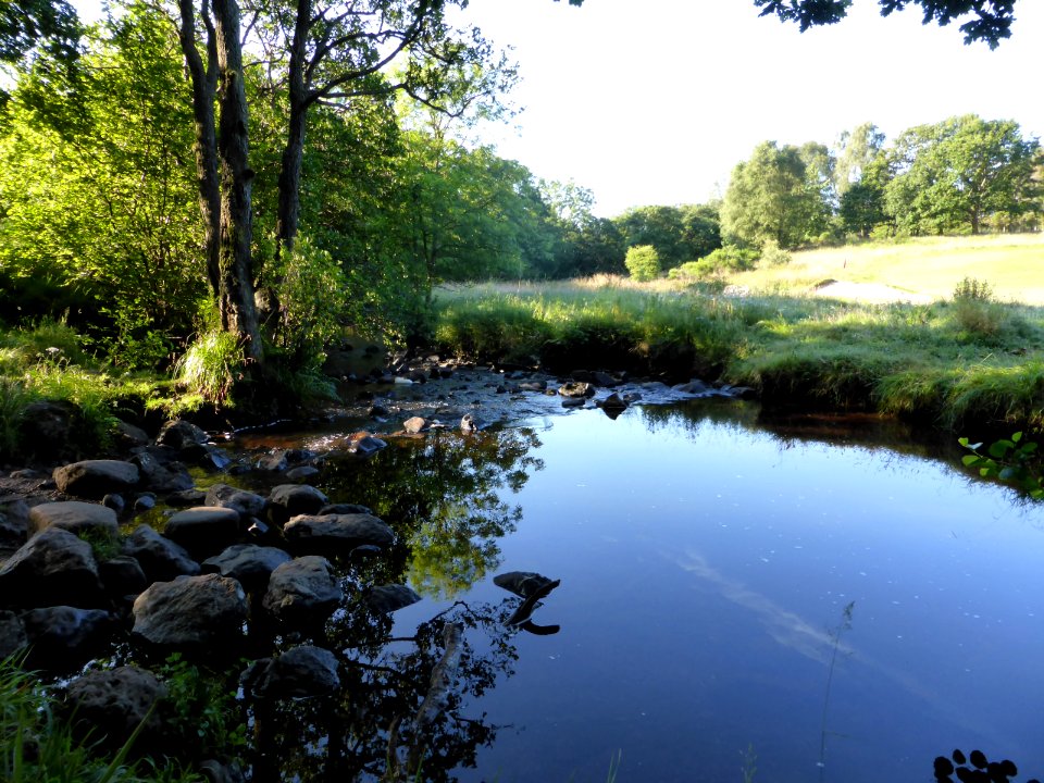River-in-Milngavie-1
