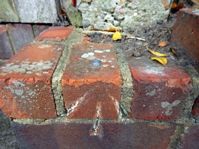 Rivet, Steps, Gatelands Drive, Bexhill