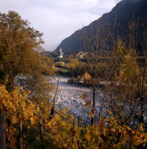 Rivier bij Ascona, Bestanddeelnr 254-6072