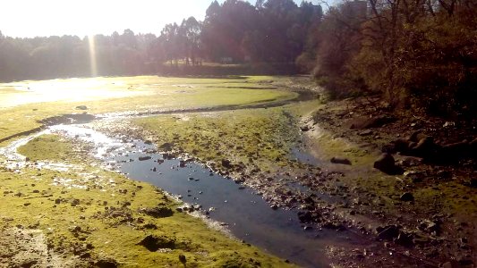 Rio Inxerto A Gándara Narón