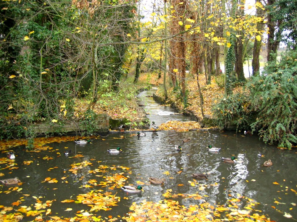 River-Ver-St-Albans-20031112-001