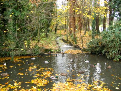 River-Ver-St-Albans-20031112-001